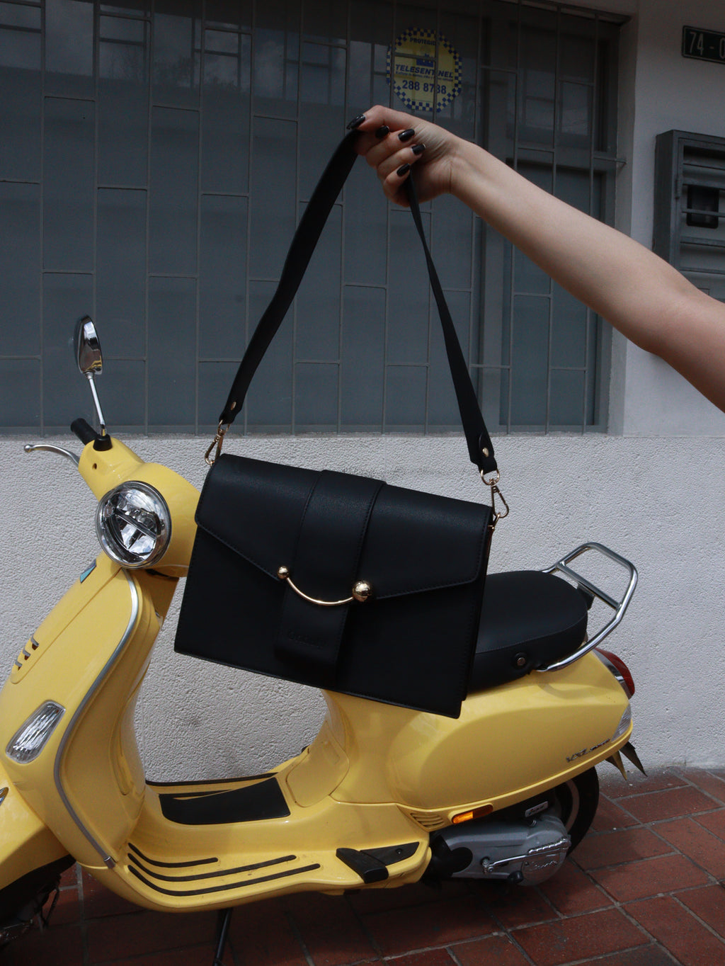 Bolso Auroria